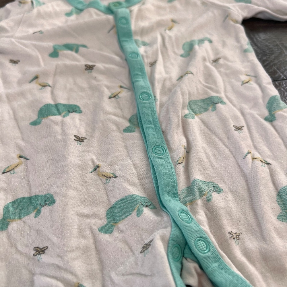 Retired Kyte Bundle - Picture 7 of 13